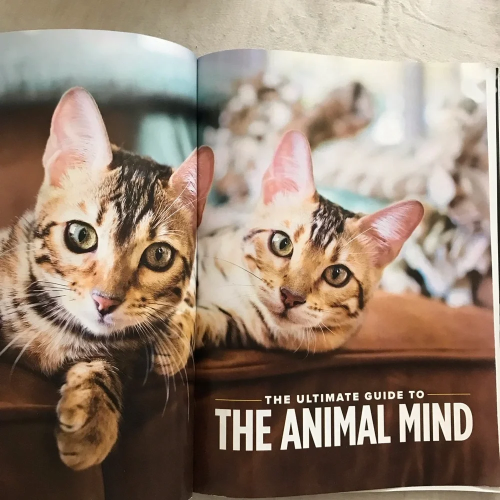 FREE The Ultimate Guide to the Animal Mind - Picture 2 of 10